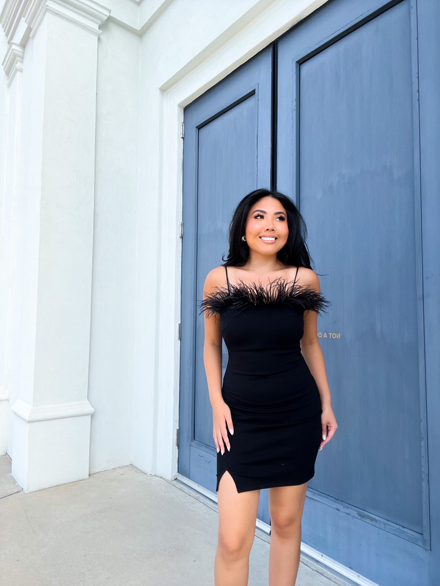 Black Feather Mini Dress